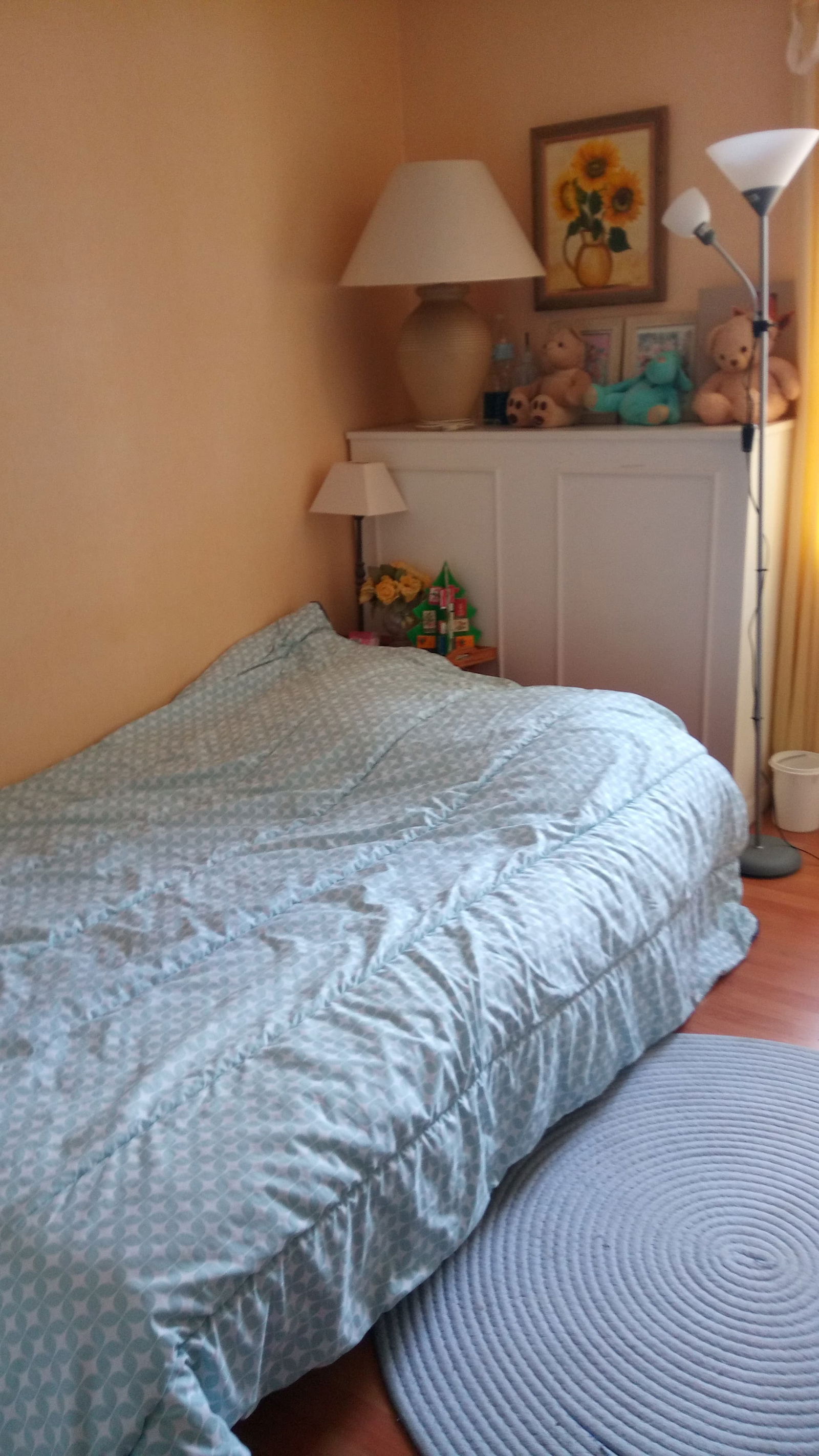 Homestay Bruges 209584