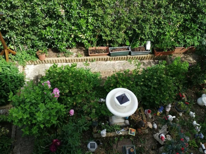 Homestay Courdimanche 236903-5