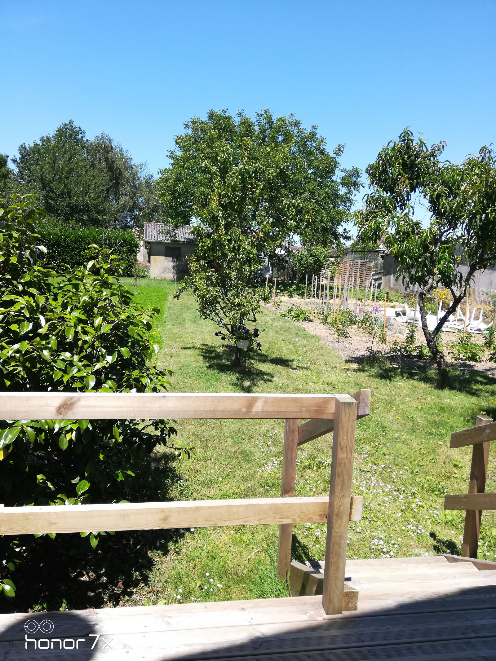 Homestay Vasles 516139