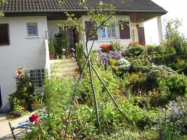 Homestay Gretz Armainvilliers 10178-2