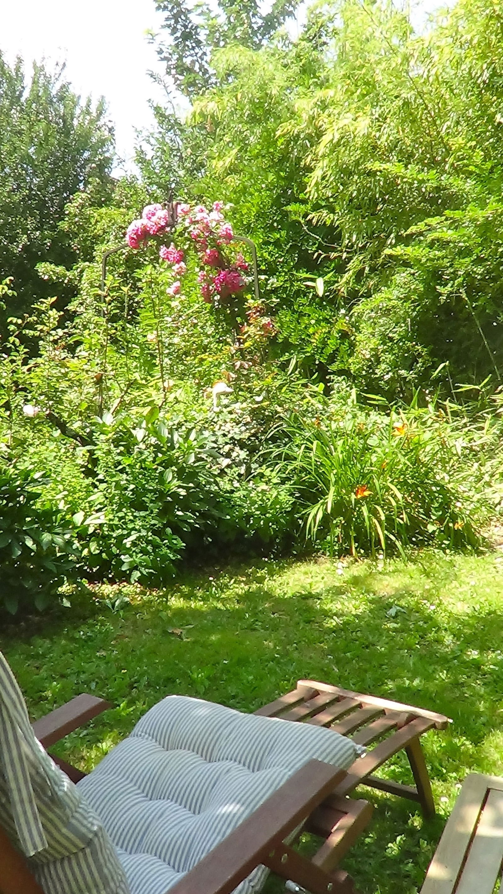 Homestay Nantes 15686