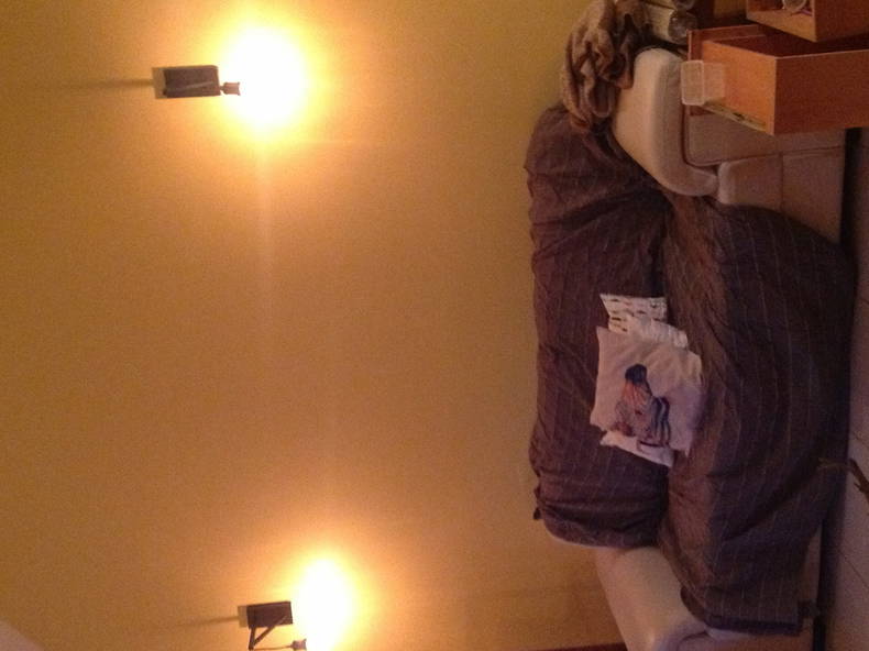 Kolokasie Tamborine Mountain 29791-1