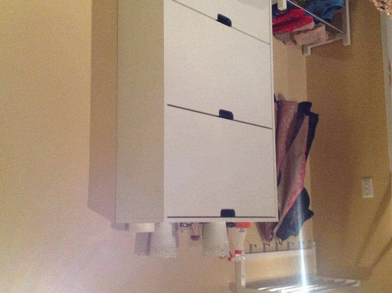 Kolokasie Tamborine Mountain 29791-2