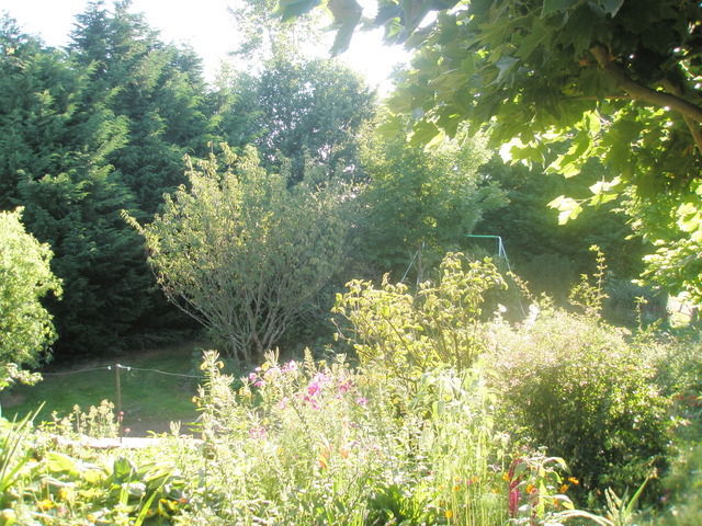 Bed And Breakfast Bonnac-la-Côte 37448