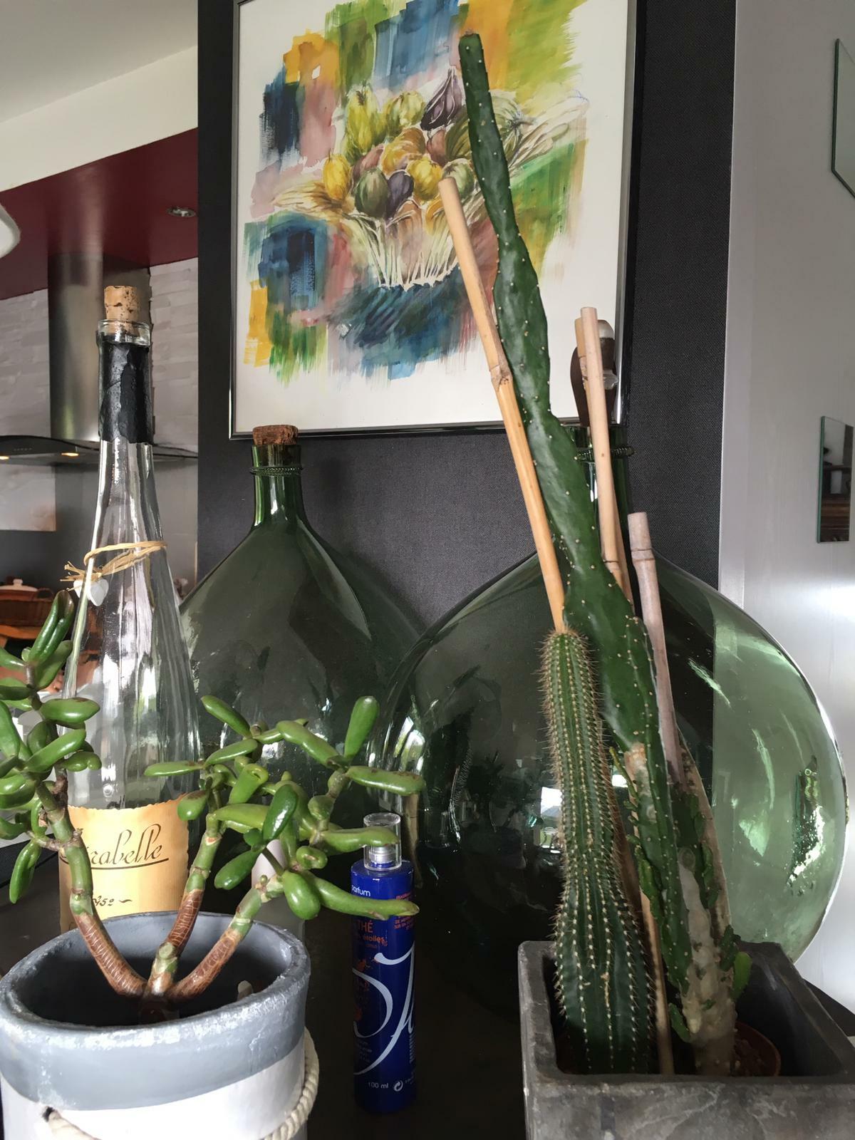 Homestay Cherré 42895