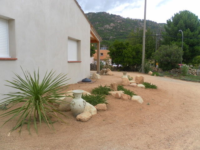 Homestay Zonza 43836