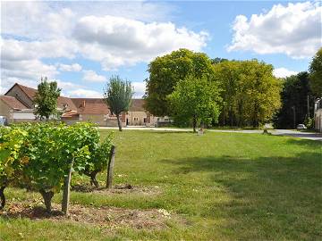 Chambre À Louer Saint-Georges-Sur-Cher 47855