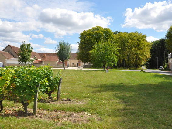 Chambres D'hôtes Saint-Georges-sur-Cher 47855-2