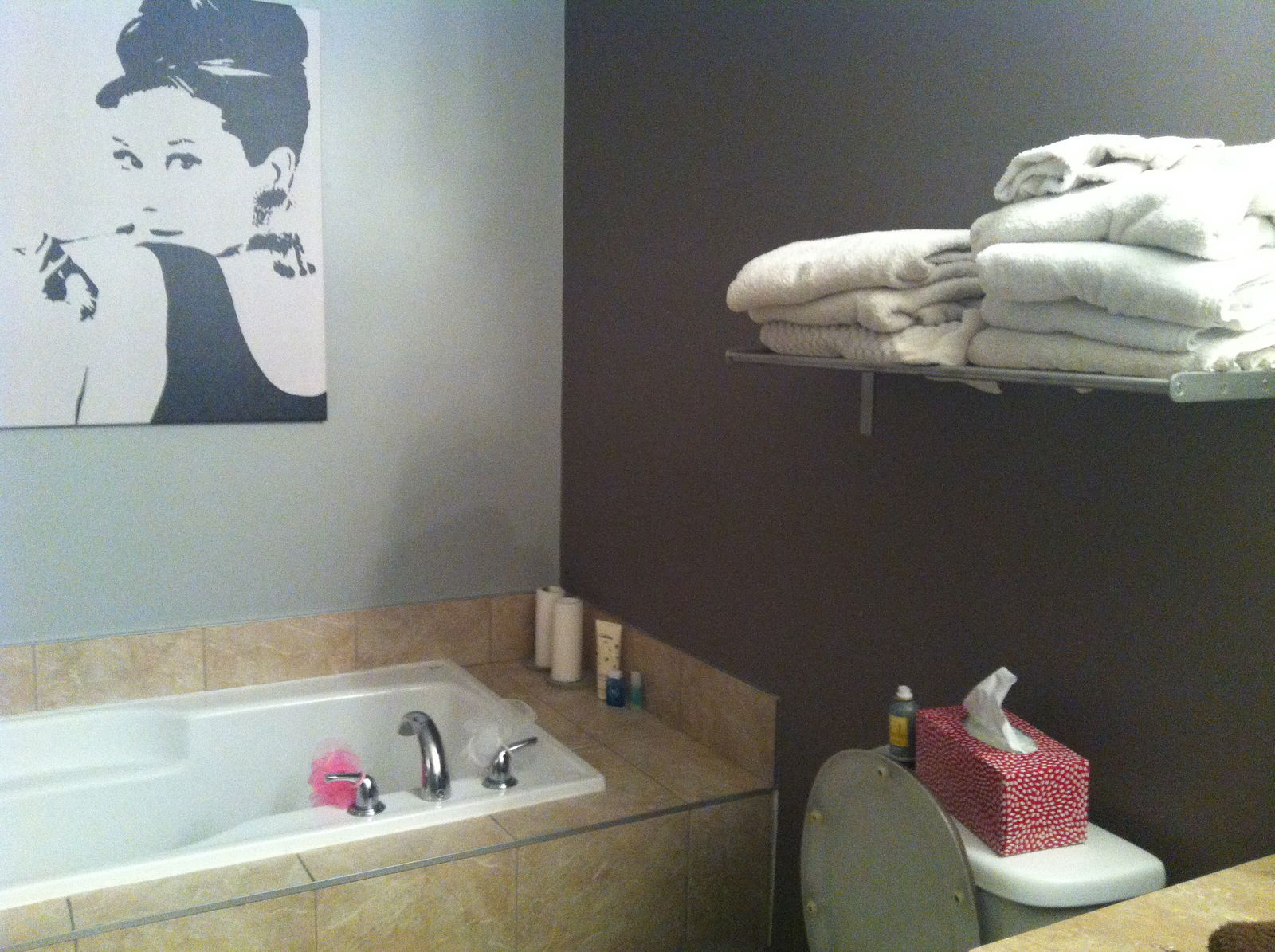 Homestay Gatineau 55494