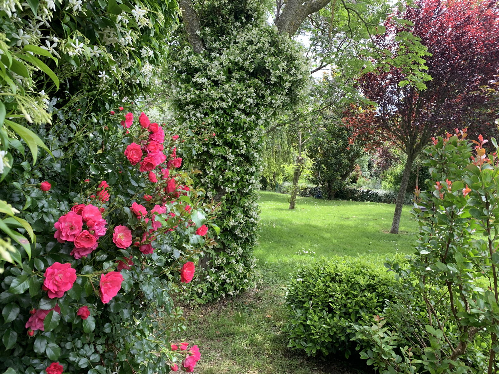 Homestay Chabrillan 57453