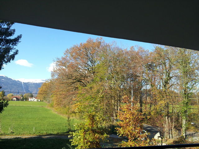 Homestay Prévessin-Moëns 61335