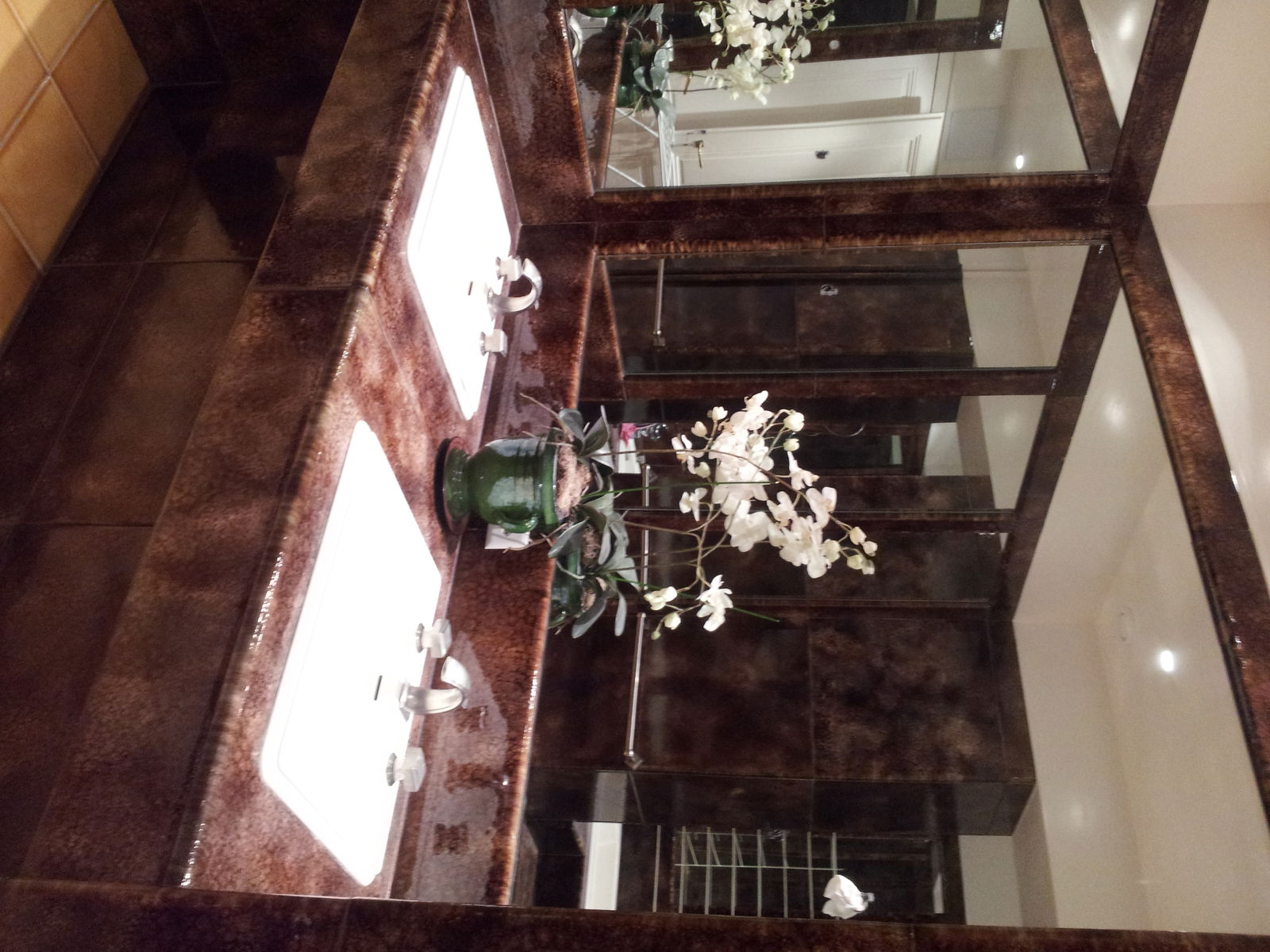 Homestay Genève 67448