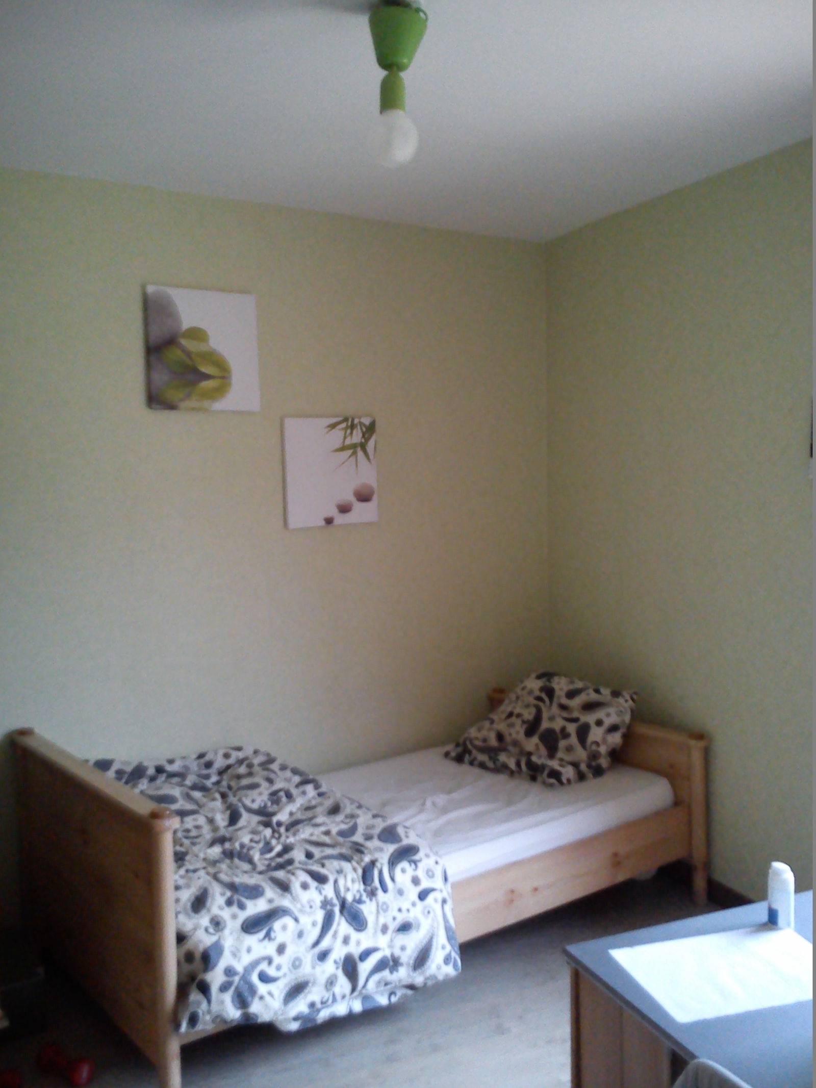 Homestay Nantes 70325