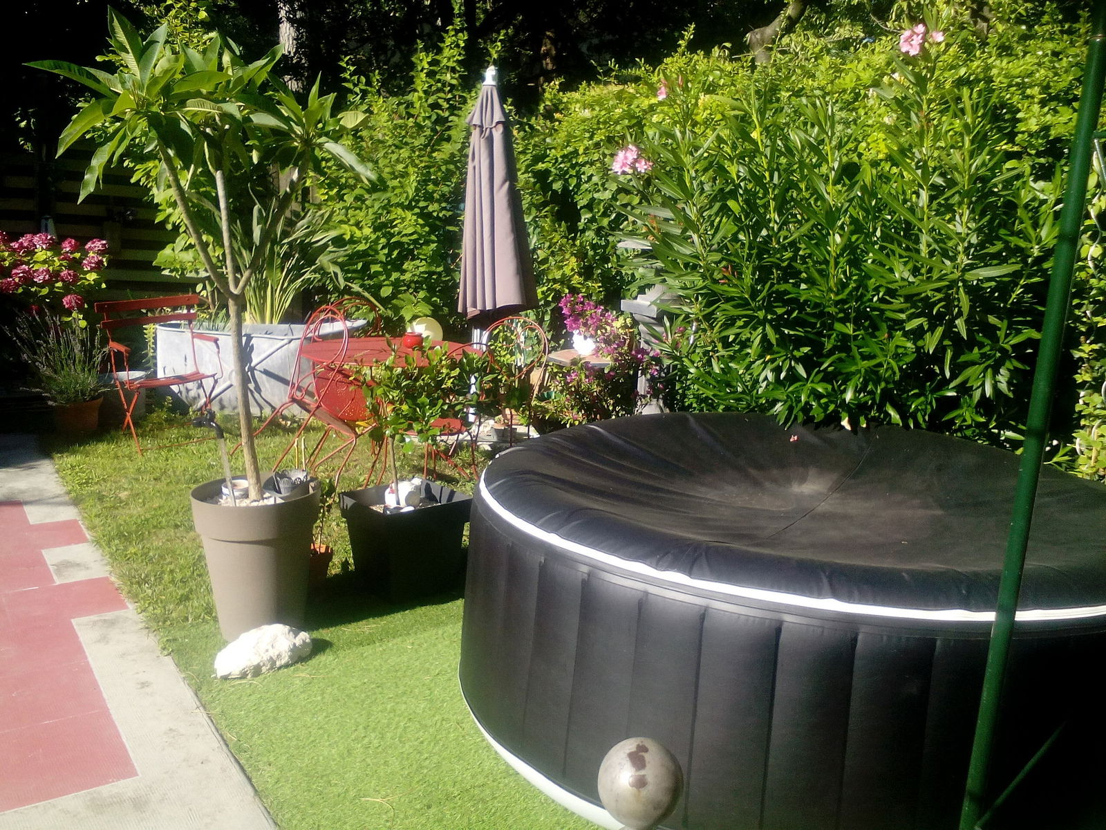 Homestay Avignon 70379