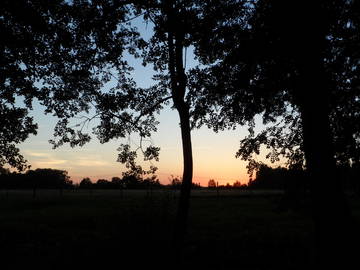 Homestay Lailly-En-Val 74734-5