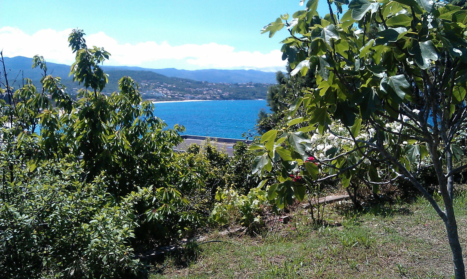 Homestay Pietrosella 75587