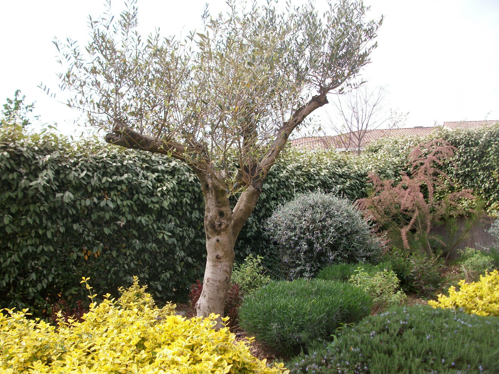 Homestay Carcassonne 100555