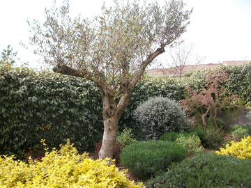Chambre Chez L'habitant Carcassonne 100555-5