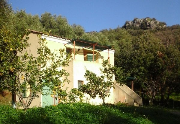 Bed And Breakfast Patrimonio 102869