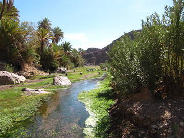 Chambre D'hôte Ouarzazate 103551-4