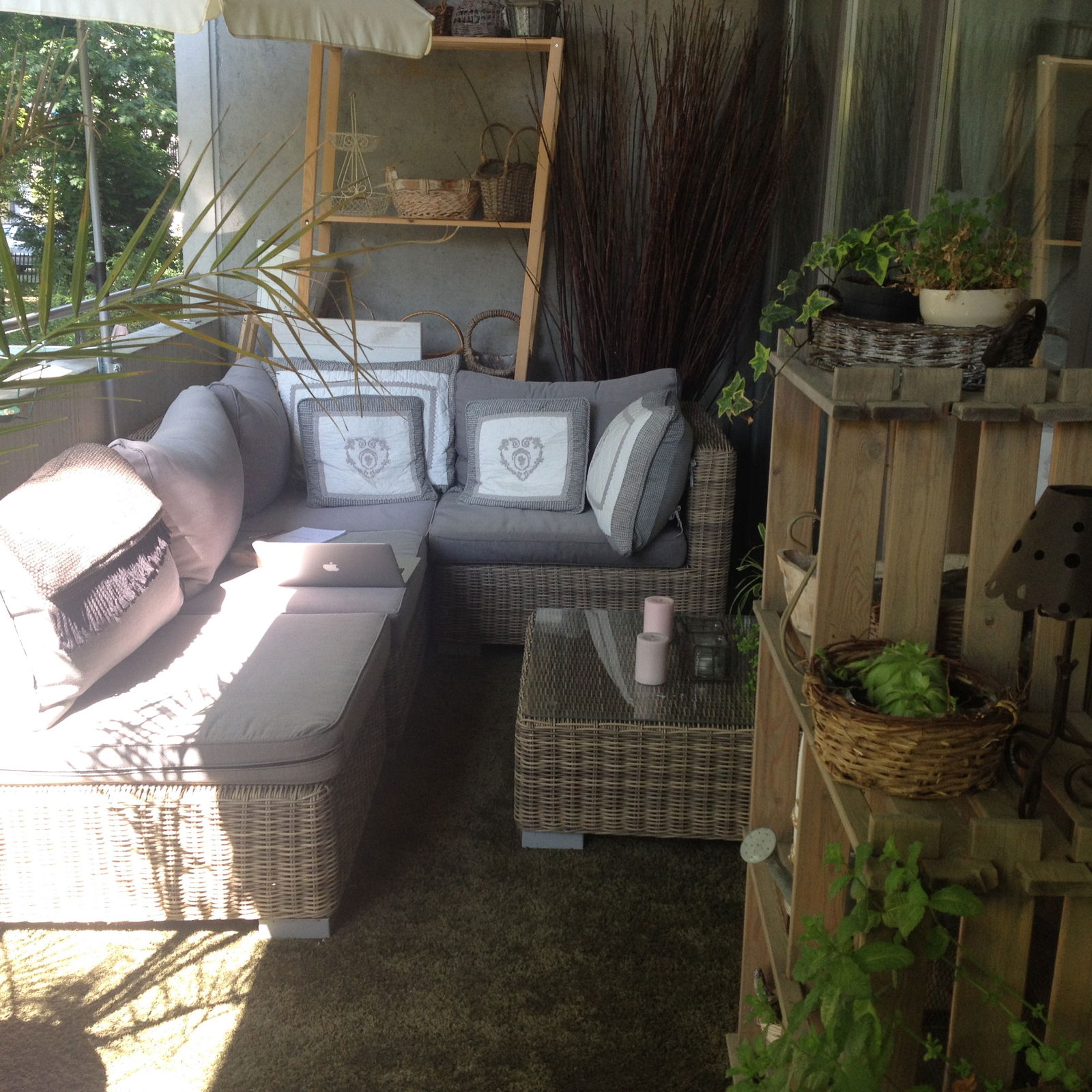 Homestay Versoix 105568