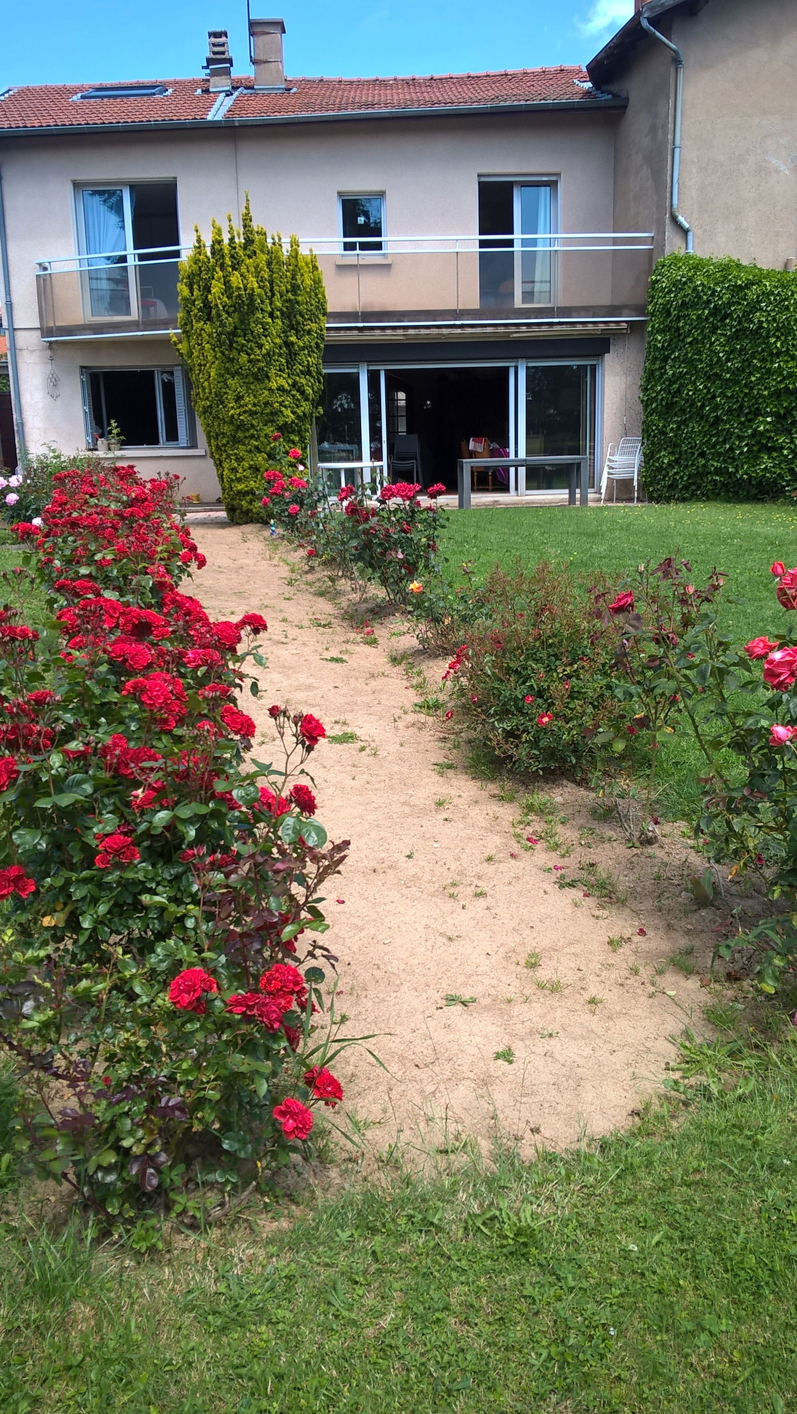 Homestay Violay 105750