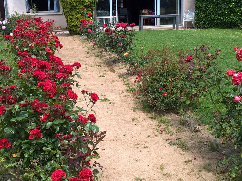 Homestay Violay 105750-2