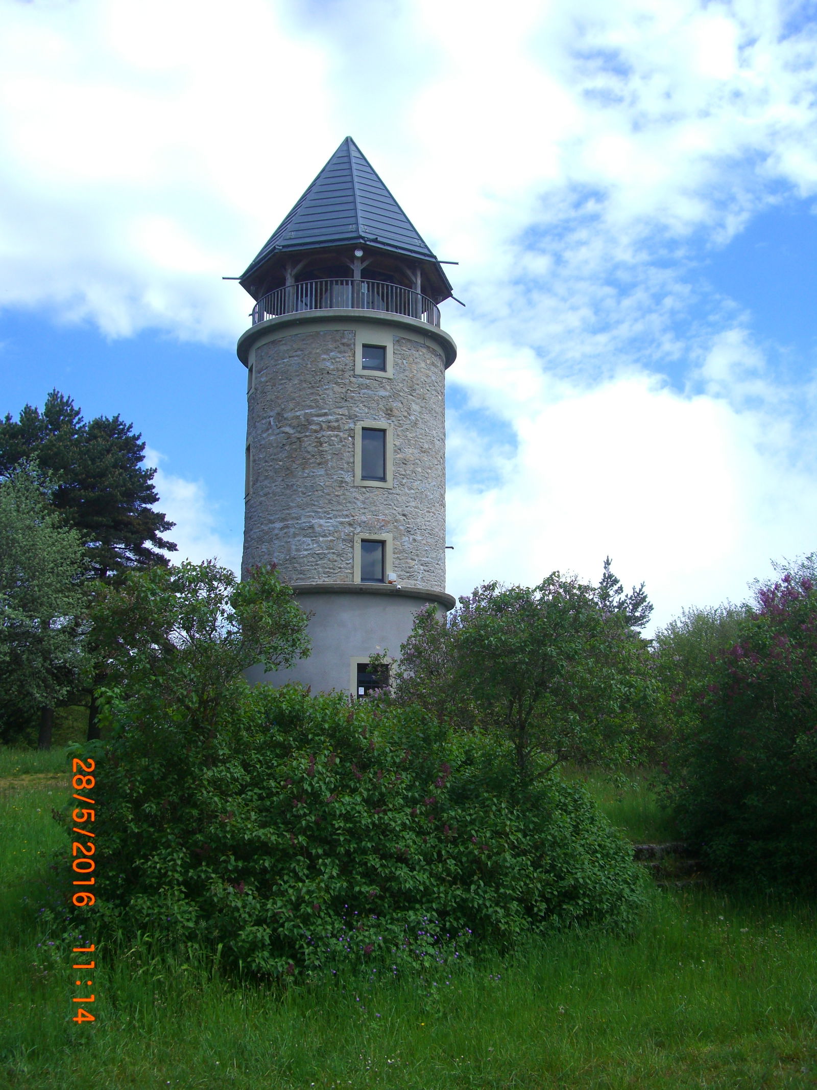 Homestay Violay 105750