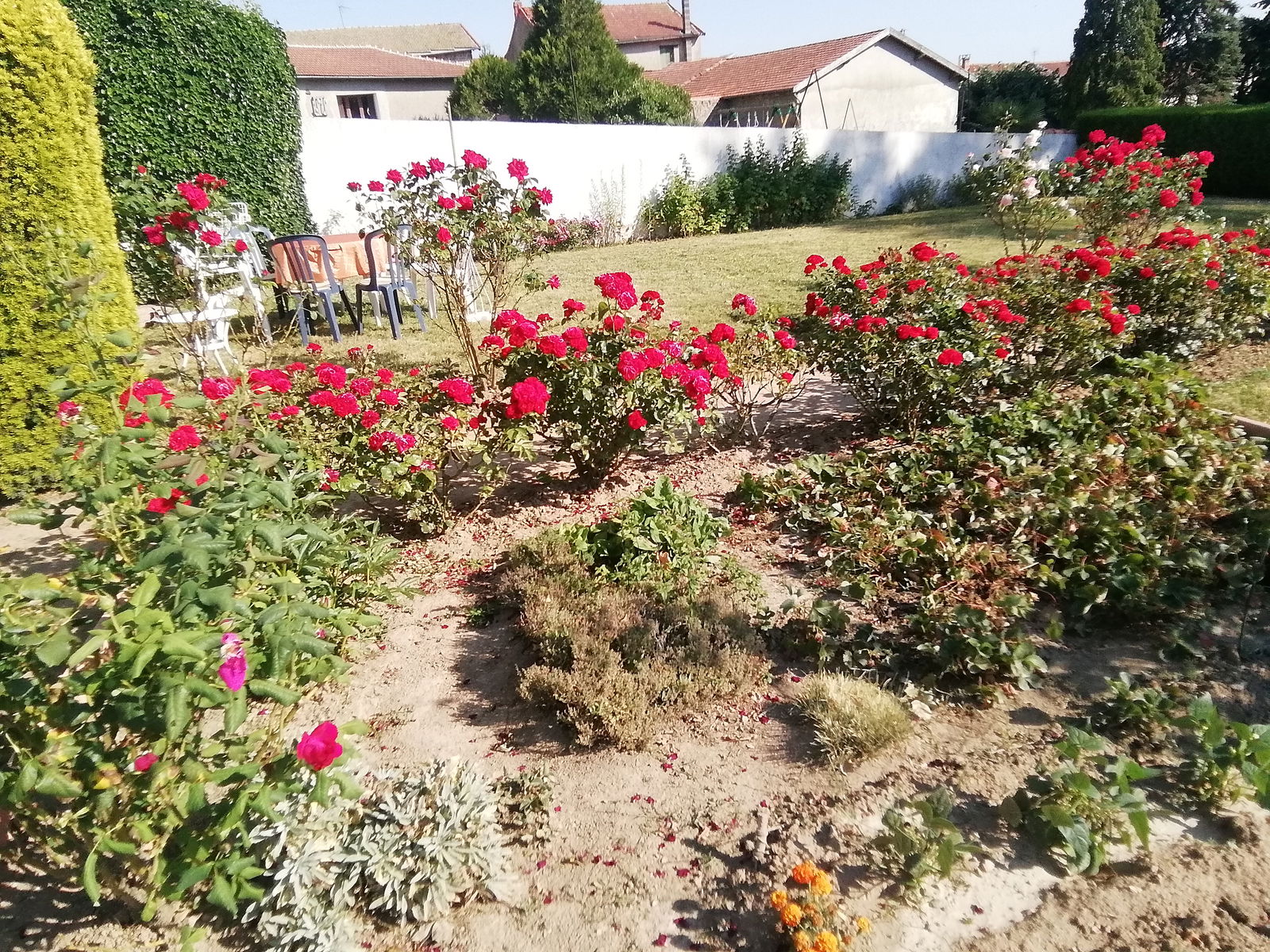 Homestay Violay 105750