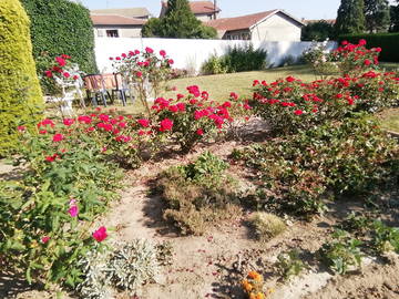 Chambre Chez L'habitant Violay 105750-8