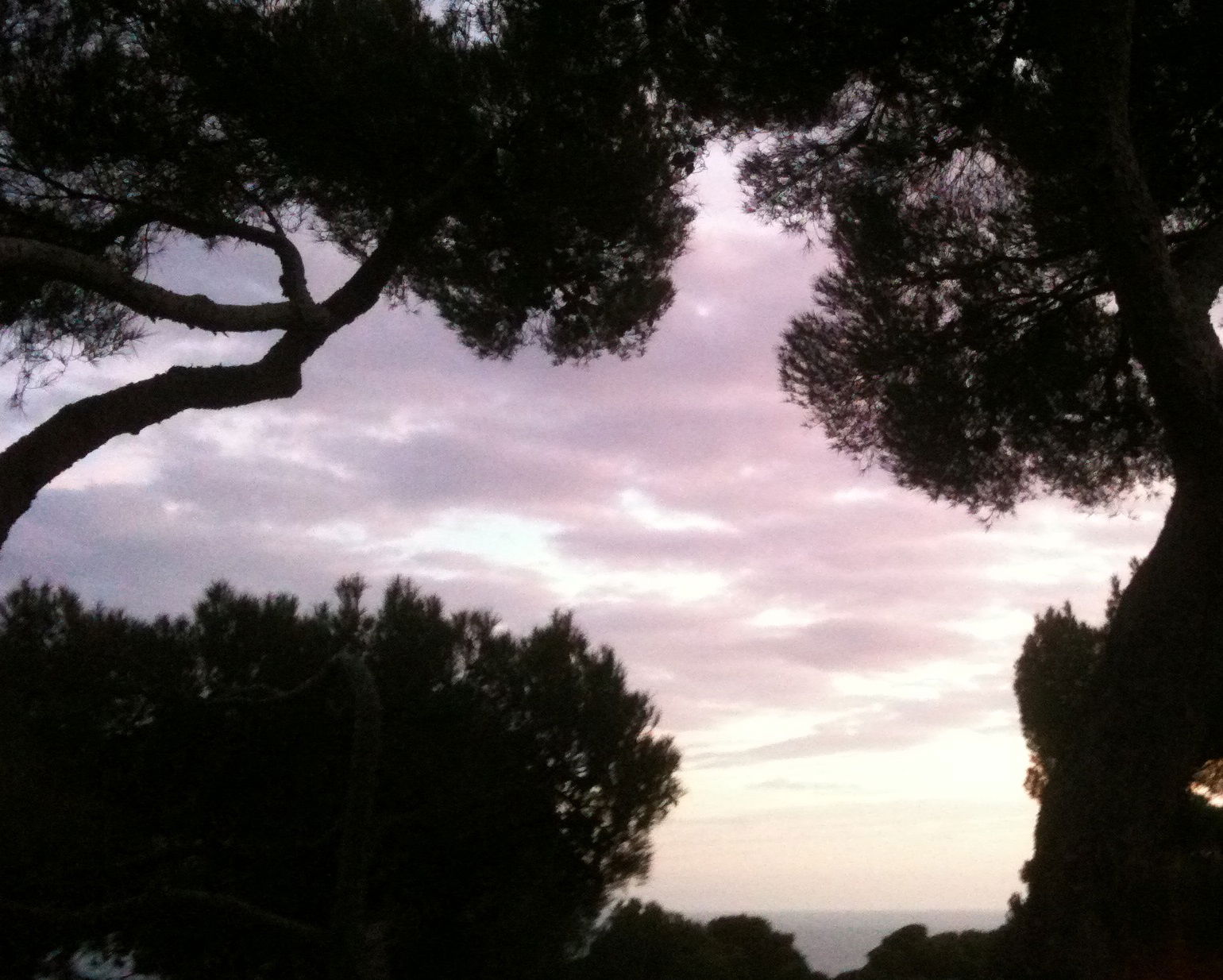 Bed And Breakfast Quercianella 94520