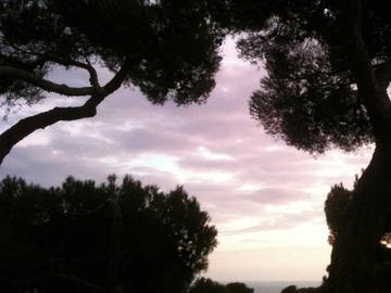 Chambre D'hôte Quercianella 94520-6