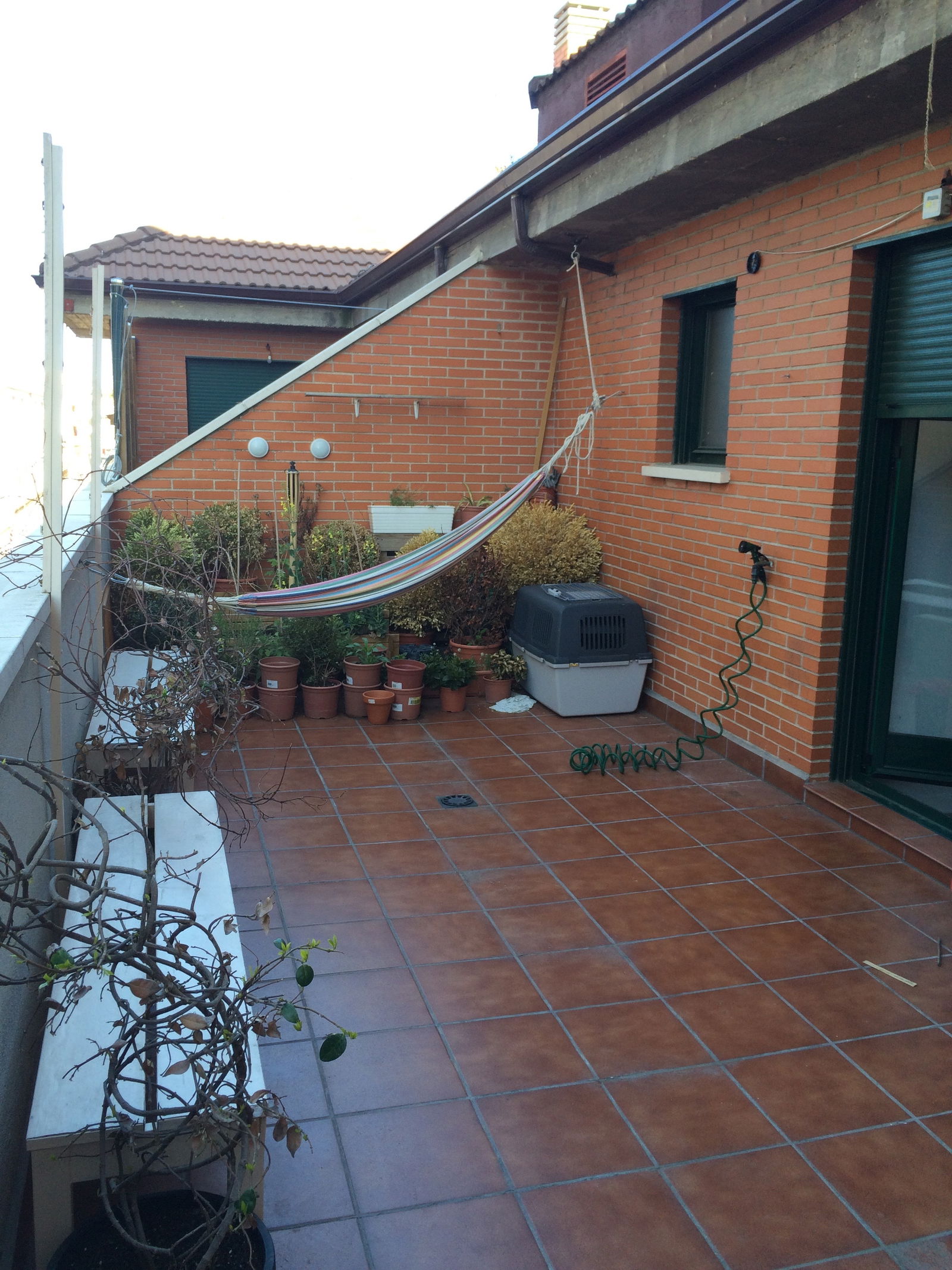 Homestay Madrid 133953