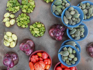 Chambre Chez L'habitant Cotonou 143035-11