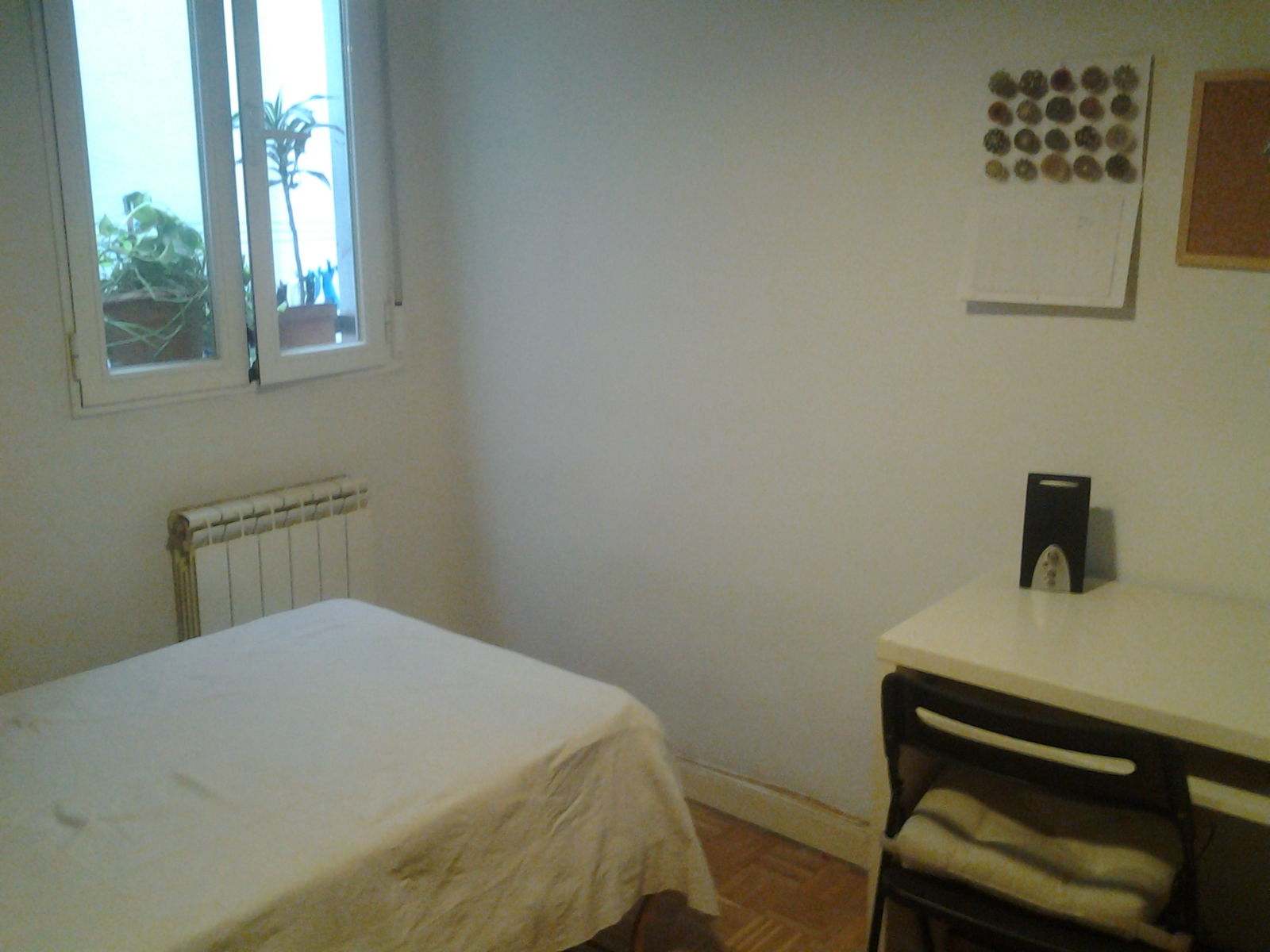 Homestay M 147680