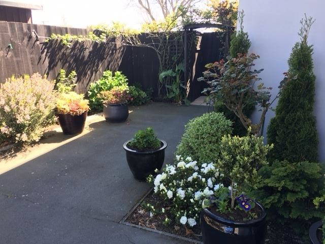 Homestay Christchurch 152993-3