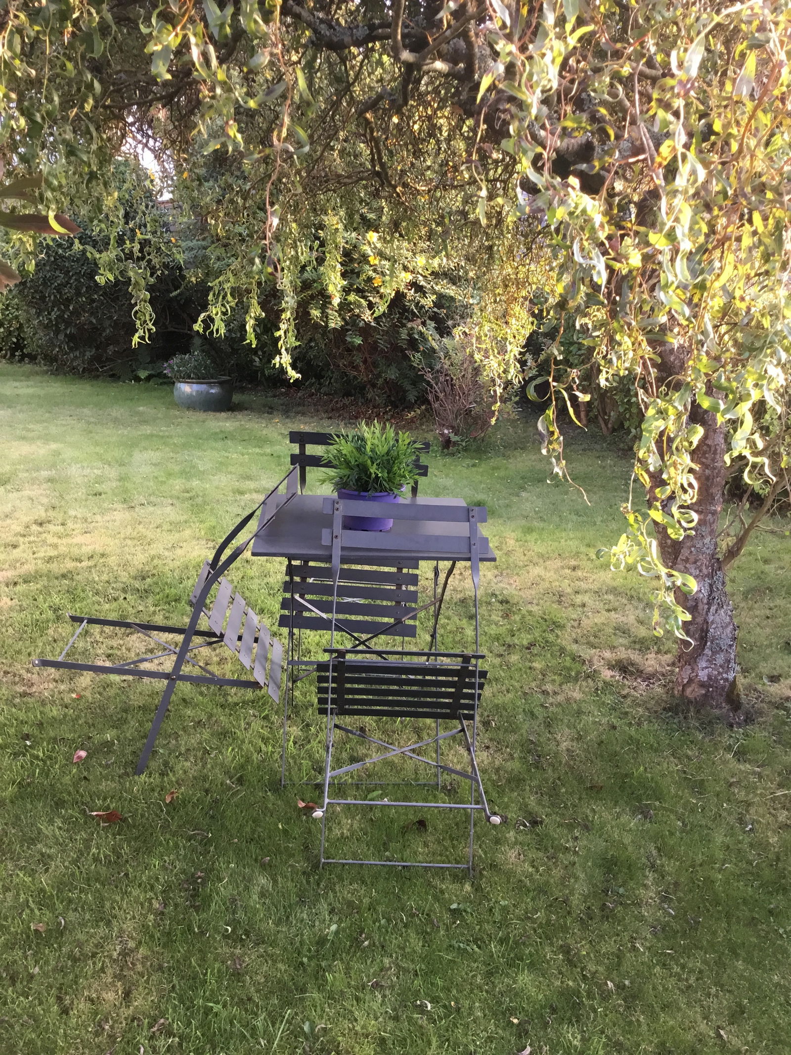 Homestay Bohars 154809