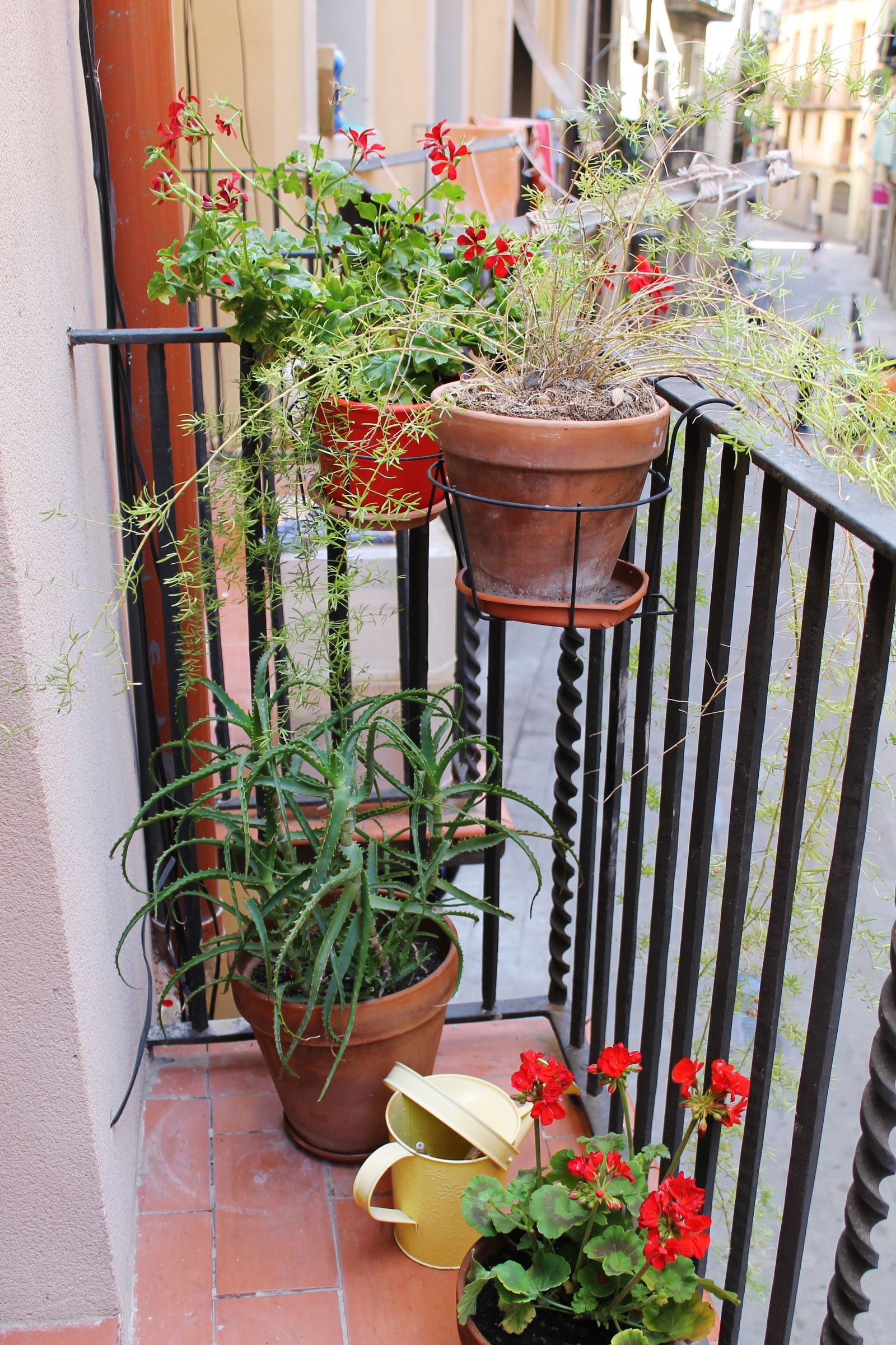 Homestay Barcelona 157065