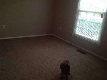 Room For Rent Fayetteville 183523