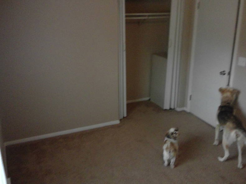 Chambre Chez L'habitant Fayetteville 183523-2