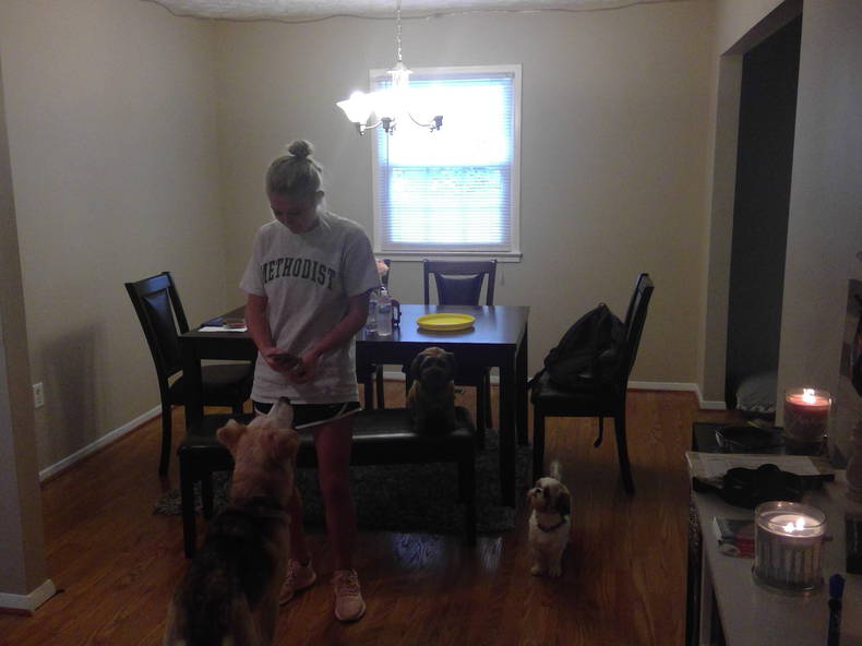 Chambre Chez L'habitant Fayetteville 183523-5