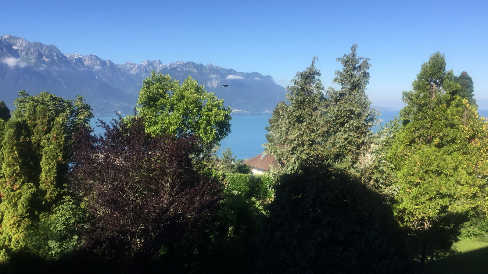 Homestay Chernex 198161