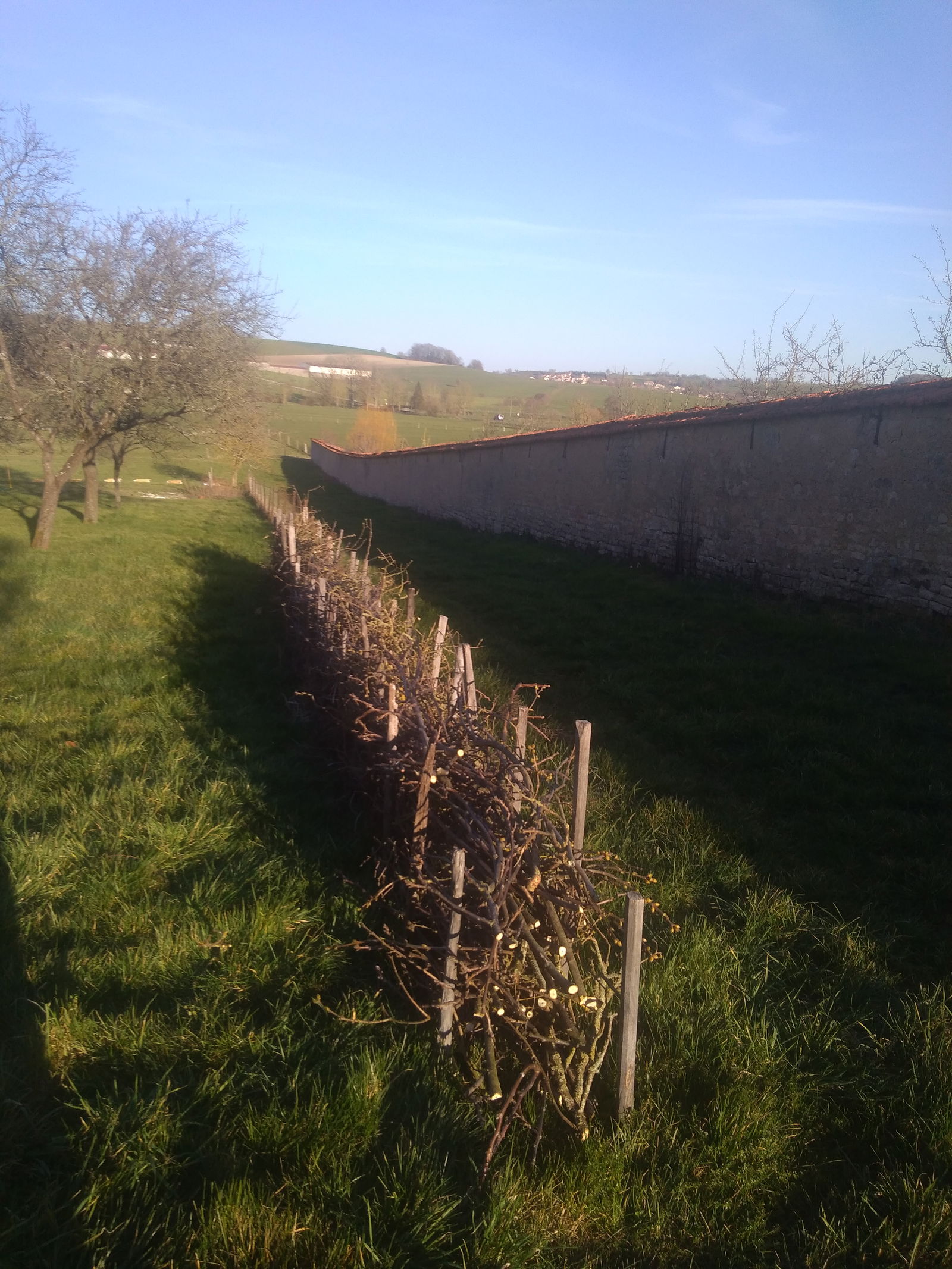 Homestay Mandres-sur-Vair 200486