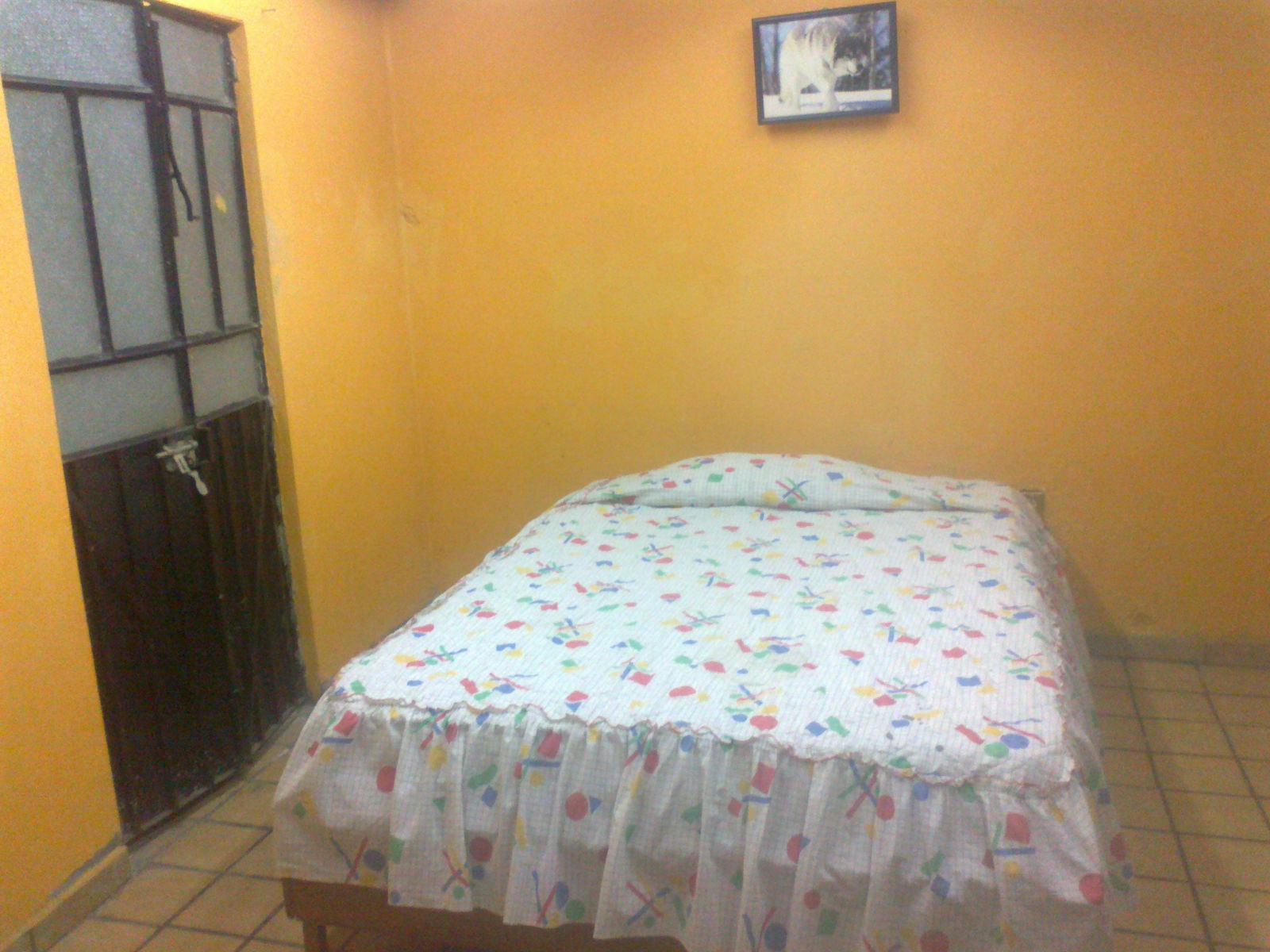 Homestay Morelia 201846