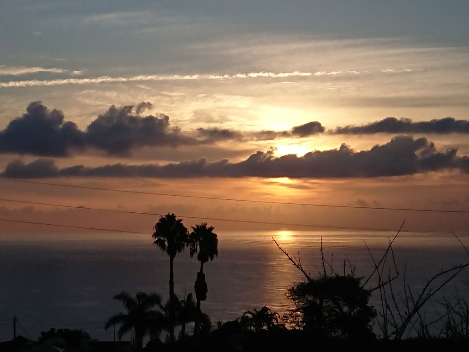 Homestay Santa Cruz de Tenerife 221175
