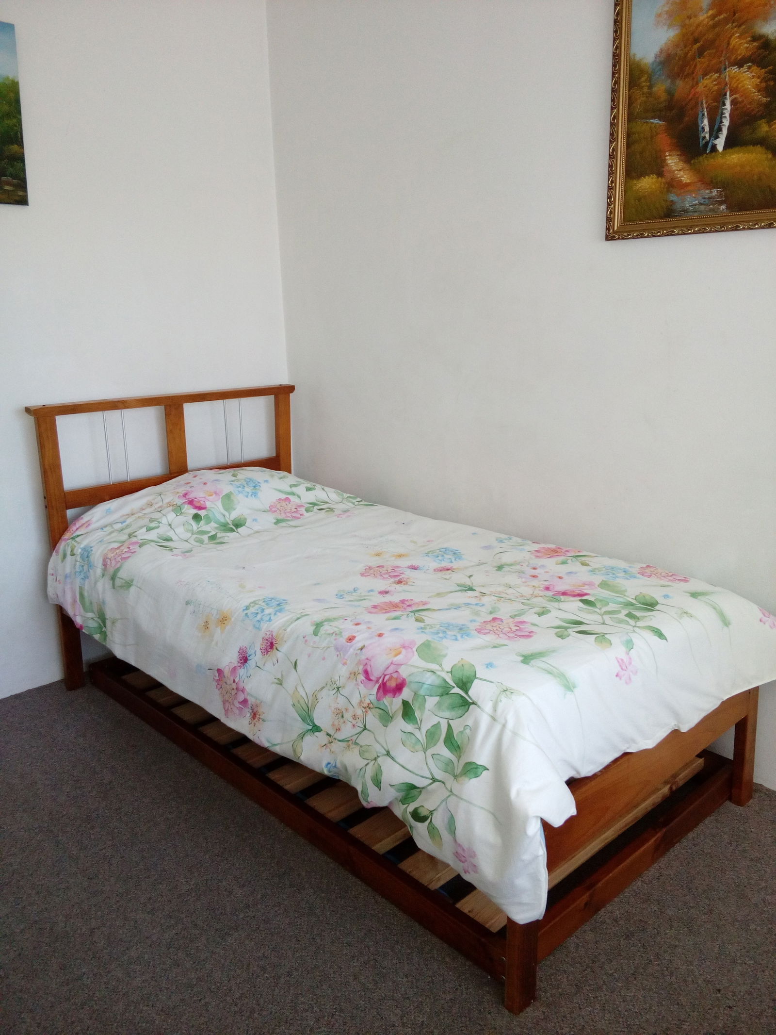 Hemvistelse Mount Druitt 226544