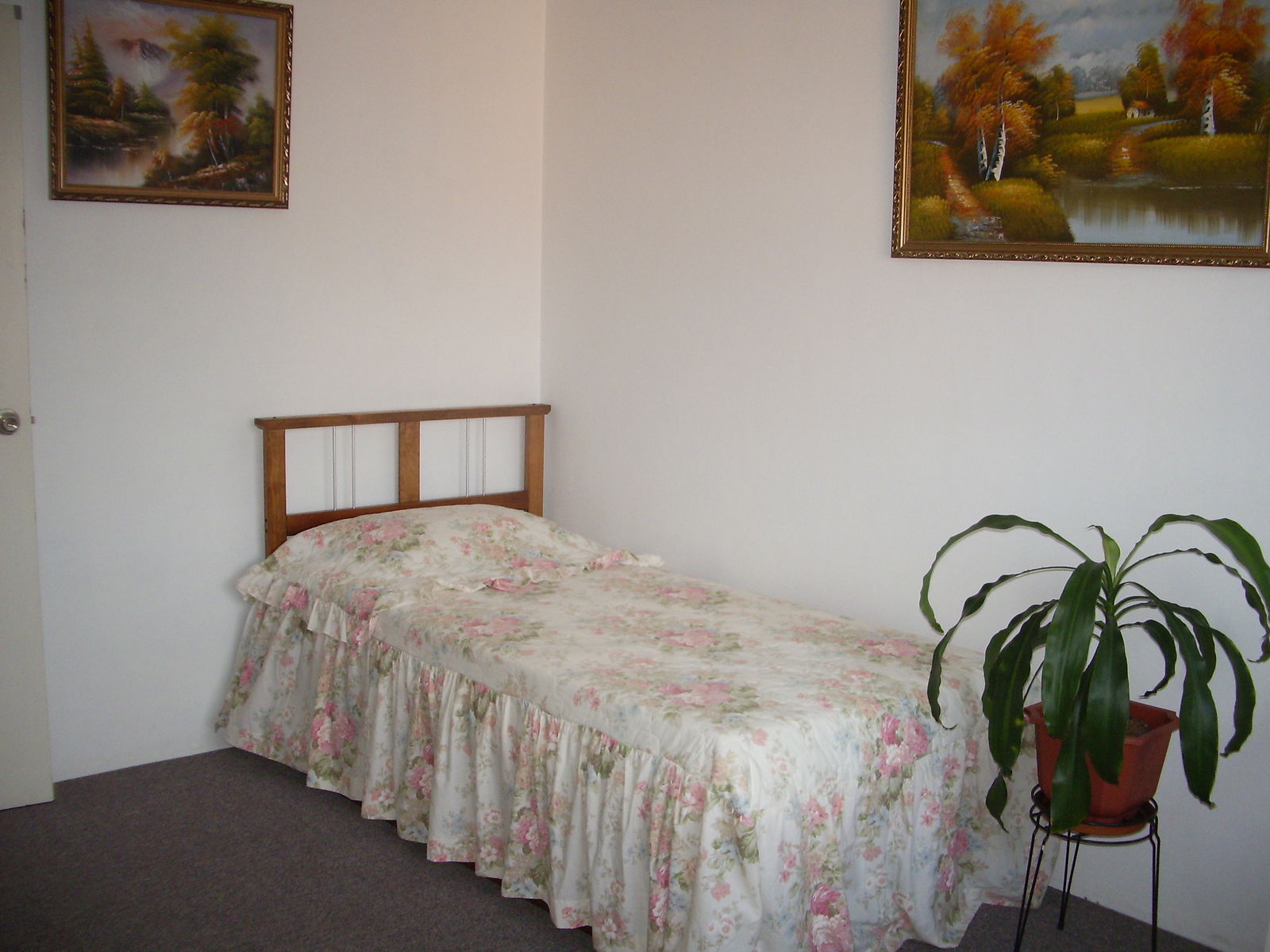 Hemvistelse Mount Druitt 226544
