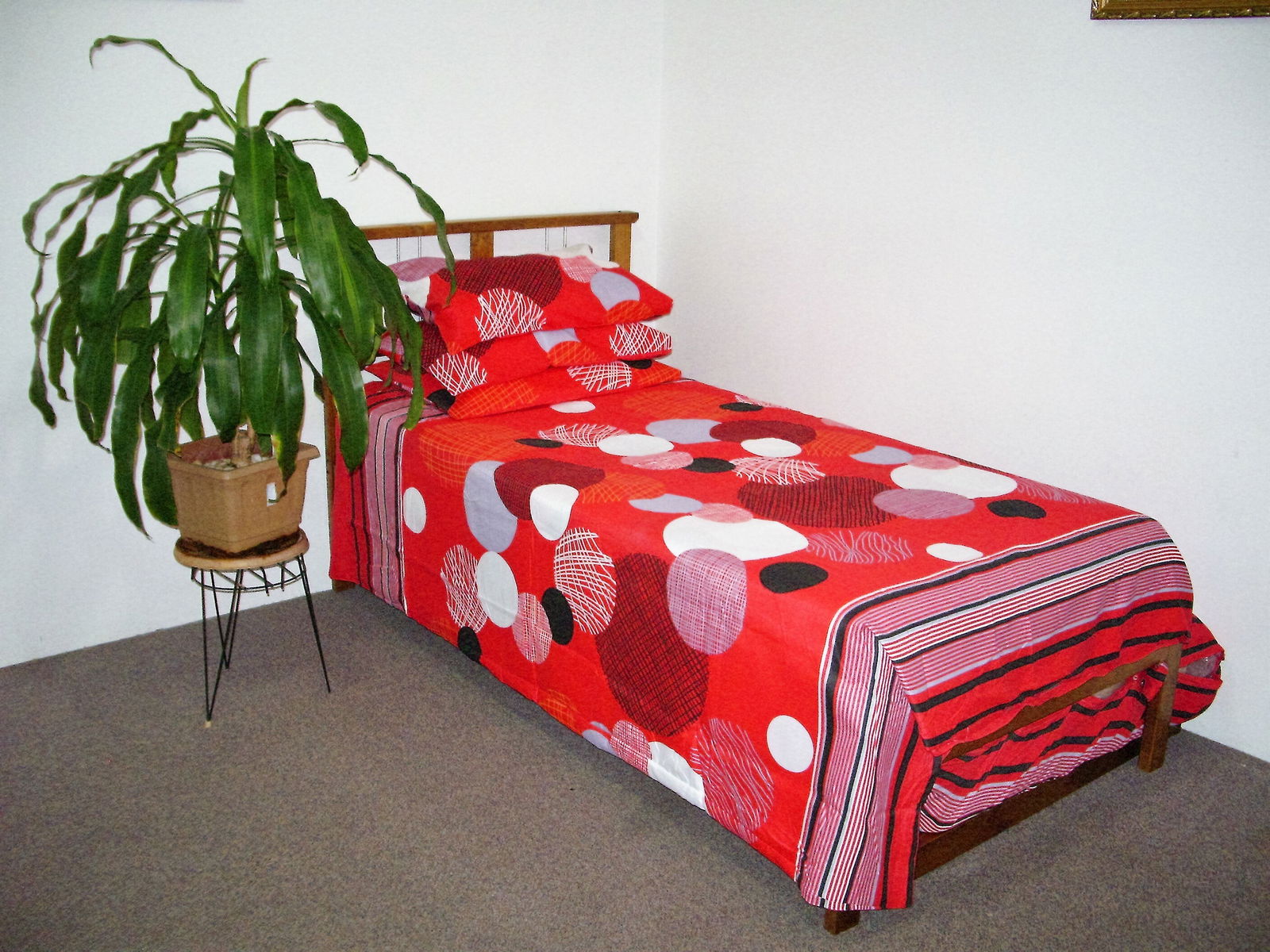 Hemvistelse Mount Druitt 226544