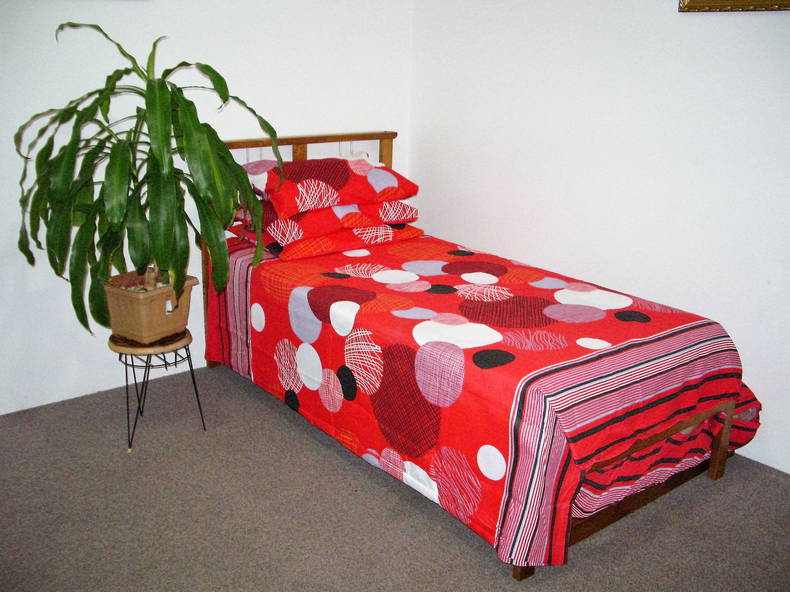 Chambre Chez L'habitant Mount Druitt 226544-3