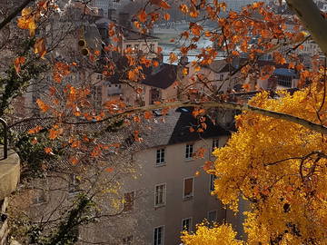 Chambre Chez L'habitant Lyon 227776-6